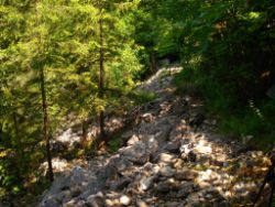 2013-07-13_Regina-F-Rau_Sonnenspitze3 (021).JPG